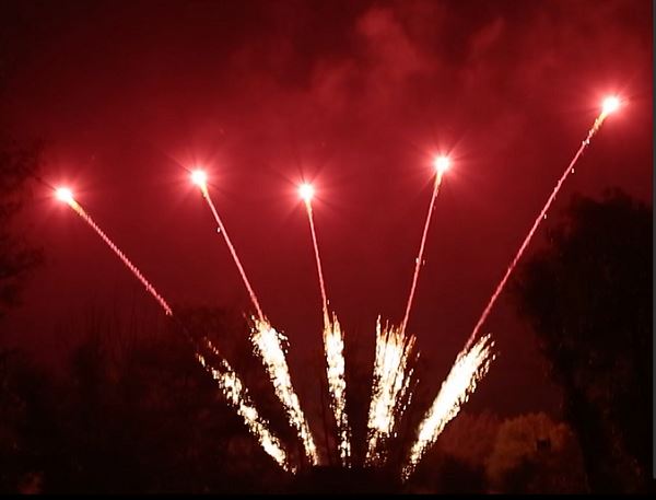Display 10 Shots Fan Shape Single Row Fireworks Show Celebration